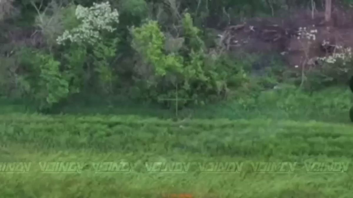 Операторы 29 армии ликвидировали малую штурмовую группу на одном из участков Запорожского направления
