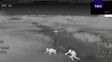 �� �� ���������� ���������� ����� ����� ���� ����������� �������, ������� � ����������