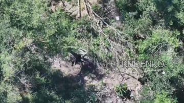 ������ �������: ������� ��� ��������-ѻ ����������� ����� ������� ���������� �������� ���������� �������� � ����������� �������