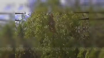 ��������� �������: �����-��������� 39 ��������� ����������� �������������� ������� 68 ���������� ������� ����������� ����� "������" ���������� ����������� �������� ������� ���������� ���������� �� ����������� �����������