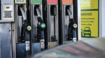 ФАС возбудила дела против операторов АЗС на Кубани и в Запорожской области