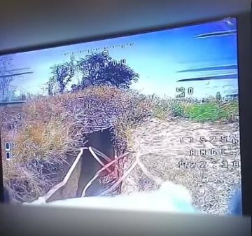 Операторы разведроты 291 полка доставляют пятачкам радость прямо до дверей