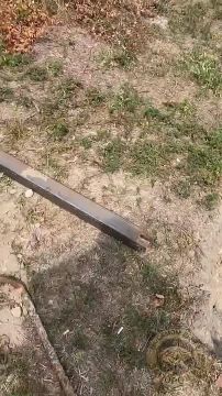 ������ ��� �����, �� ���������� ��� ������