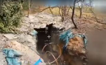 ����� ������� ���������� ��������������� ������ ���������� ���