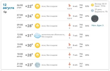 Доброе утро!. Коротко о погоде: +31°C, солнечно, без осадков, ветер 6–8 м/с