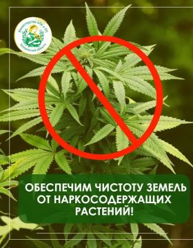 Обеспечим чистоту наших земель от растений, содержащих наркотические вещества