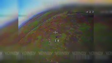 ������� ���� 38 ��������� ����������� �������������� ������� 35 ����� ����������� ����� "������" ����������� ������������ ���������� � ���� ������������ �����������