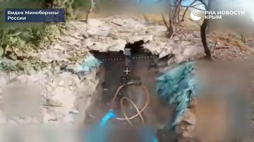 ����� ����������� ����� "�����" ���������� ��������������� ������ ���������� ��� � ����������� �������