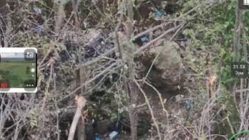 Операторы БпЛА 1198 мотострелкового полка 35 армии группировки войск "Восток" выявили и уничтожили позиции ВСУ вместе с живой силой на Запорожском направлении