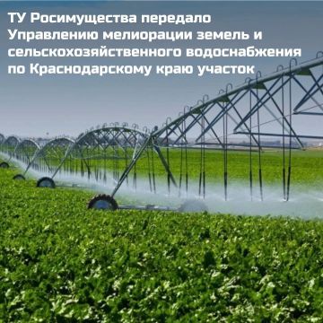 ������������ ������������ �� ����� ����������� (�����������) ����������� ���� ����������� ���������� ������ � ��������������������� ������������� �� �������������� ����� ��������� �������