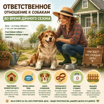 ������������� ��������� � �������� - ����� ������������ � �������� ���� �������