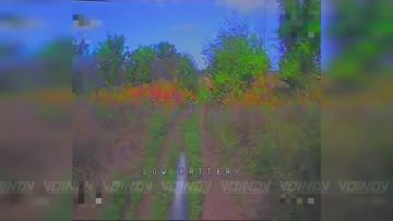 ��������� 57 ������� ������������� ����������� ����� ���� ��� � ����������� �������