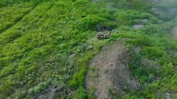Довоевалась.... На Запорожском направлении наши бойцы взяли в плен раненую наёмницу из Колумбии