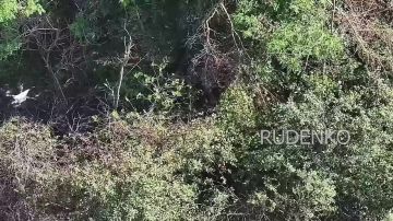 ������ �������: ��������� ������� ���� ����������� ����� ������� ���������� ������ ��� � ����������� �������