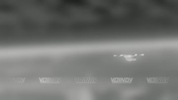 ��������� ���� 14 ��������� ����������� ������� �������� ����������� ����� "������" ���������� ���������� ���� ���������� �� ����������� �����������