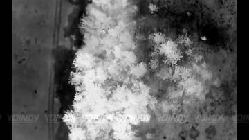 Операторы БпЛА группировки войск "Восток" продолжают уничтожение живой силы противника на Запорожском направлении