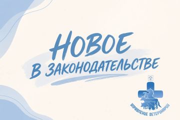 ���������� ����������� ����������� ������� ����������� � ����� �������� ����������� ������������������� �������������