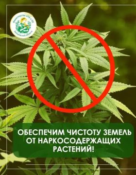 Обеспечим чистоту наших земель от растений, содержащих наркотические вещества