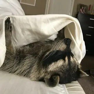������ ����, ������� ����������! ������ ����, ���������!