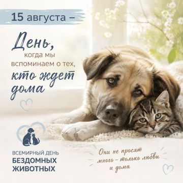 15 ������� - ���� ��������� ��������: ������ �� �������� � ���� �� �������