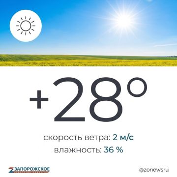 Ясная, солнечная погода ожидается в Запорожской области в воскресенье, 16 августа