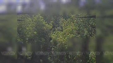 ��������� ���� 394 ������������ ����� 127 ������� 5 ����� ����������� ����� "������" �������� ������ ������ ���, ��������� �������� ������� ���������� �� ����������� �����������