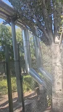 �� ������������ ��������� ������ ������ �������� ������� �������� �������-������������� ��������� ��������� ����������