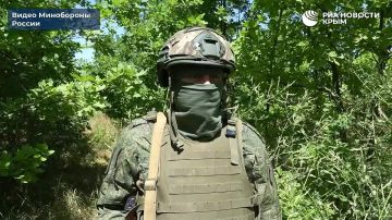 Российские военные ударами "Молнии" уничтожили опорники ВСУ в Запорожской области