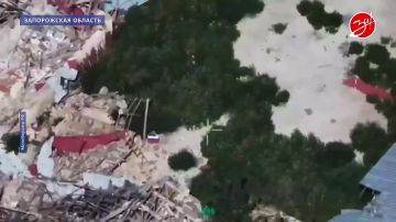 Подразделение группировки войск «Восток» освободили населенный пункт Новосолошино в Запорожской области