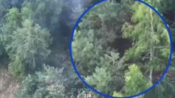 ��������� ���� 55 ����������� ������� ������� ������ � ������� ����������� ����� "������" ������� � ���������� ����� ���� ���������� �� ����������� �����������