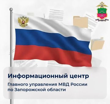 Нужна справка о судимости? Всё можно сделать онлайн