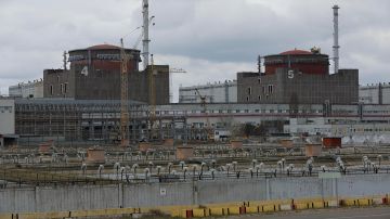 В МИД заявили об угрозе катастрофы из-за ударов Киева по ЗАЭС