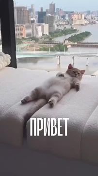 ������ ����!. �������������� �� ����� ����������