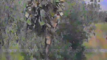 Охота на временно живую силу ВСУ в Запорожской области