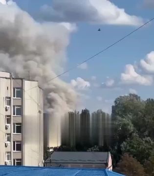����� ������������ ������� �� ������ �������� � ��������