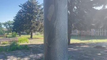 Письмо из 1980-го. Что скрывает гранитная плита у ног Мичурина в Запорожской области?