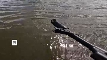 ����� 100 ������ ��������� ����������� ����������� "������" � ���� ������������ ���� ������������ � ����������� �������