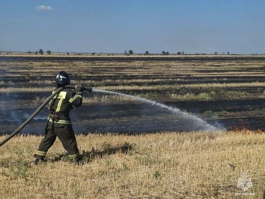 Оперативная обстановка по Запорожской области за 18 августа