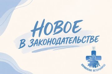 ���������� ����������� ����������� ������� ����������� � ����� �������� ����������� ������������������� �������������