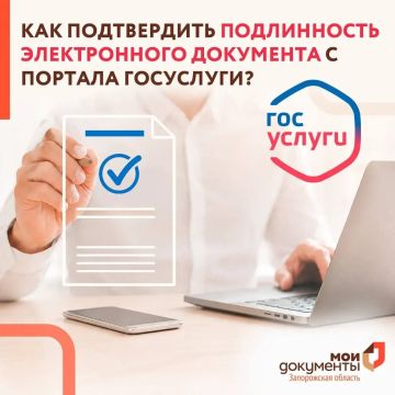 Документы с портала Госуслуги и их юридическая сила
