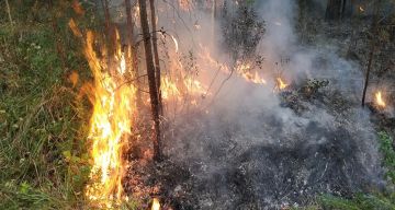 Ситуация с пожарами на Ямале остаётся напряжённой
