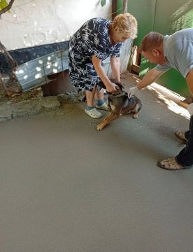 В Черниговке проведена плановая подворовая вакцинация животных против бешенства