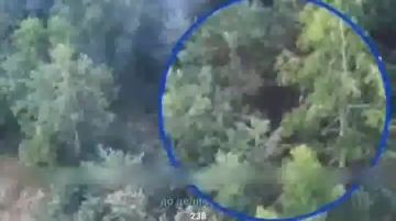 Операторы БпЛА 55 гвардейской дивизии морской пехоты в составе группировки войск "Восток" выявили и уничтожили живую силу противника на Запорожском направлении
