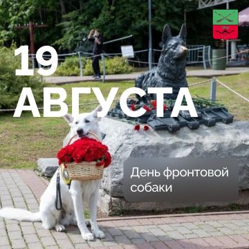 День фронтовой собаки в России