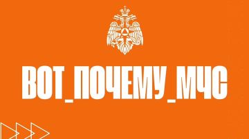 #���_������_���: ������ ������� �������������� ��������