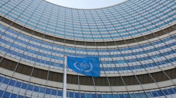 ЗАЭС проинформировала МАГАТЭ об отключении внешней энерголинии