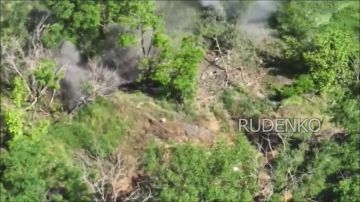 ������ �������: ��������� ������� ���� ����������������� ���������� ������� ������ ��� � ����������� �������