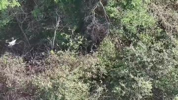 ��������� ���� 55 ����������� ������� ������� ������ � ������� ����������� ����� "������" ������� � ���������� ����� ���� ���������� �� ����������� �����������