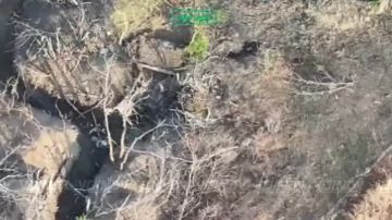 ��������� ���� 1198 ��������������� ����� 35 ����������� ������������� ����� ���������� ������� ������ � ����� ����� ��� �� ����������� �����������