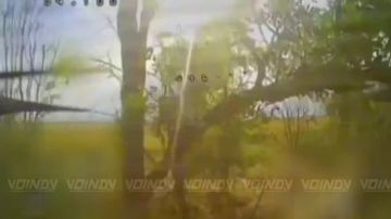 ��������� ���� ����������� ����� "������" ������������ �������������� ���������� ����������� ����������� ������, ��������� ������� ��� �� ����������� �����������